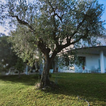 Villa Margherita San Giovanni Teatino Luaran gambar