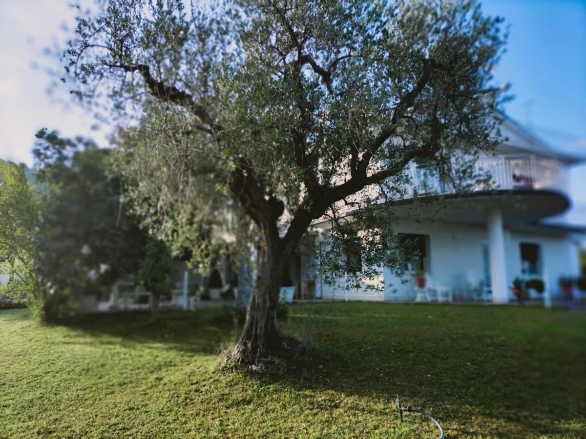 Villa Margherita San Giovanni Teatino Luaran gambar